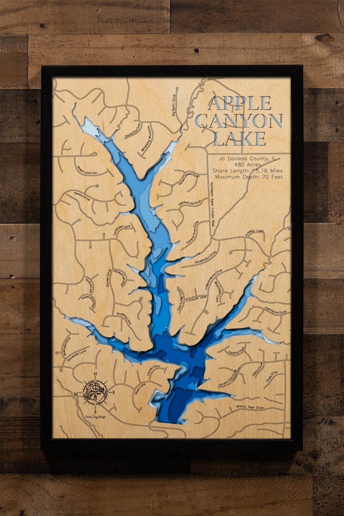 Apple Canyon Lake in Jo Daviess County, IL engraved wood map, showcasing accurate topographical features.