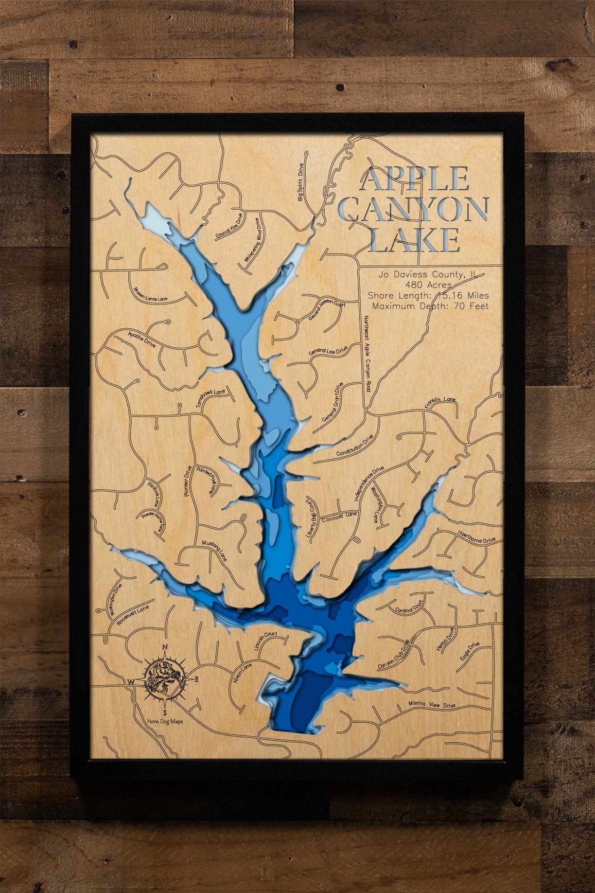 Apple Canyon Lake in Jo Daviess County, IL engraved wood map, showcasing accurate topographical features.