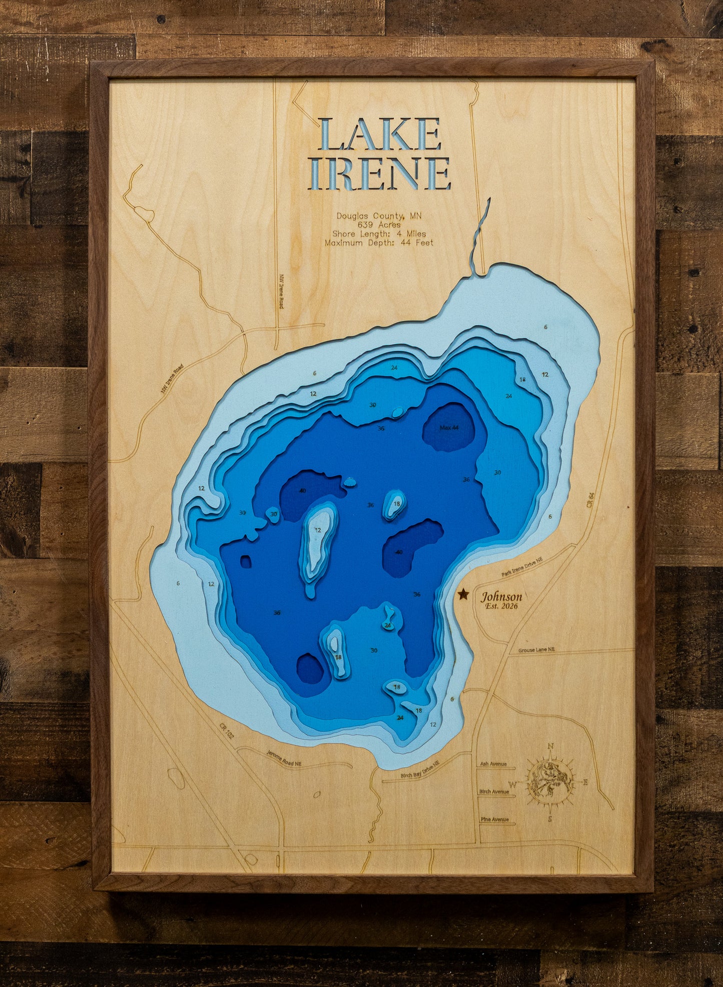A framed wooden depth map of Lake Irene, featuring layered blue and light blue water contours on a natural wood background, mounted on a dark wood plank wall.