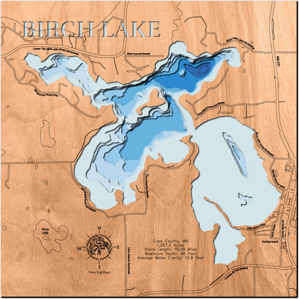 Birch Lake in Cass County, MN