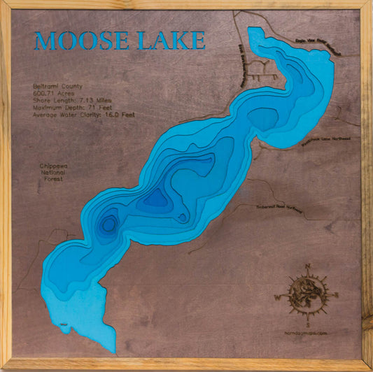 Moose Lake in Beltrami County, MN